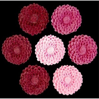Сахарные цветы "Георгины" светло-розовые 34шт